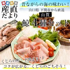 �R������蒼�� �R�� �~4��Z�b�g(B) ������ �~�x�[�R�� �~�^�� �~�ē� �~���c�g���@ �������� ���N�[���Ⓚ�� �y���������F�J�[�g���ɋL
