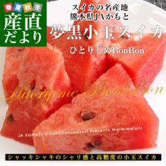 F{Y@JAƁ@ʃXCJ(ЂƂ肶BONBON) 4LTCY 8L (4L~2)@@Z 