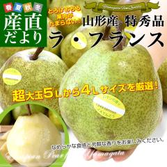 �R�`���Y�n���� ���E�t�����X�Z���^�[����i ���E�t�����X ���G�i ��5�L���i12�ʂ���14�ʓ���j 4L����5L�T�C�Y �������� ��� �m�Ȃ� 