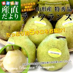 �R�`���Y�n���� ���E�t�����X�Z���^�[����i ���E�t�����X ���G�i ��5�L���i16�ʂ���20�ʓ���j 3L����L�T�C�Y �������� �m�Ȃ� �m�� 