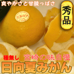 �����Ă݂��� 11�ʁ`13�� (�햳��) �u�₩�ȍ���Ƃق�̂�Î_���ς����������������̋{����\���銹�k�̉ʎ��@�폭�@���̒��ł����I