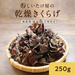 �����L�N���Q250g �����炰 �����L�N���Q �؎� �L�N���Q ���������炰 ���̂� �Ɩ��p ���_�� ���� �͔| �ώ� ���Y ���{�Y ���N�H�i �r�^