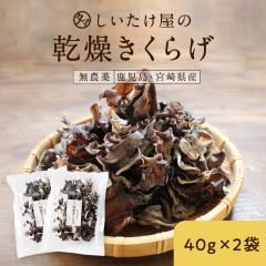 �y2�܃Z�b�g�z��B�Y �������L�N���Q �����ЂƂ�l1���� 40g�~2�� �������� �؎� �L�N���Q ���������炰 ���̂� �H���@�� ���� �Ɩ��p 