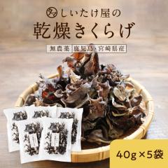 �y5�܃Z�b�g�z��B�Y �������L�N���Q 40g�~5�� �؎� �L�N���Q ���������炰 ���̂� �Ɩ��p ���_�� ���� �͔| �ώ� ���Y ���{�Y ���N�H�i 