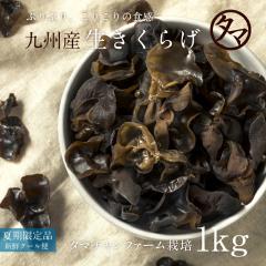 �ċG����I��B�炿�̐������炰�i1kg�j�t���b�V���V�N�Y�n�����I����������1���̒��󏭂����炰�B�_����g�킸�����̓V�R�n�����ň�Ă�