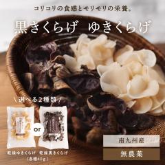 �y���������z�����炰 �����L�N���Q 40g�@�؎� �L�N���Q ���������炰 ���̂� �Ɩ��p ���_�� ���� �͔| �ώ� ���Y ���N�H�i �r�^�~���c 