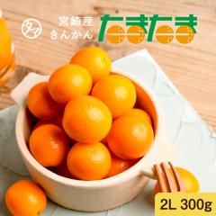 ������ �{��������܂���2L 300g(�ȈՃp�b�N)�@�����ȉƒ�p�ɂ��p�ӁI�����������̖��Y�n�{��B�{��̑��z�𗁂тĈ�������񂩂�B��