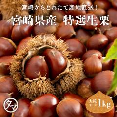 �{��炿�̓��I���I �嗱1kg �N�[���� �������� �I�̖��Y�n�Ƃ��ăe���r�E�X�B�[�c�ƊE�ł��m����{��V�R�R�I�I������ �}���� ��