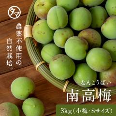 �������ē썂�~�i���~�`�r�T�C�Y�j3kg �������� �^�}�`�����׃W�t�@�[���_��s�g�p�̐V�N�i���j���� �~
