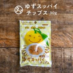 ゆずすっぱいチップス 30g 宮崎県産須木村 柚子ピール 皮使用 爽やかな味わい お試し サンプル スナック ご当地 おかし おやつ ユズ 柚子