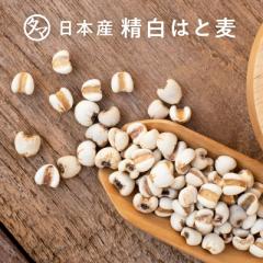 九州産精白はとむぎ250g(熊本県産) 食物繊維 必須アミノ酸 ミネラル 国産 無添加 ヨクイニン 美容 健康 ダイエット はとむぎ茶 鳩麦 ハ