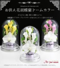 プリザーブドフラワー 仏花 お供え花 仏壇用 ケース 法事 お供え 供花 【3カラードーム】 初盆 新盆 喪中はがき ブリザーブドフラワー 送