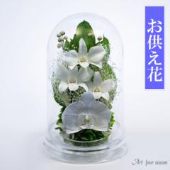 プリザーブドフラワー 仏花 お供え花 即日配送 仏壇用 プリザーブドフラワー 【デンファレドーム】 ケース 法事 供花 喪中はがき お悔や