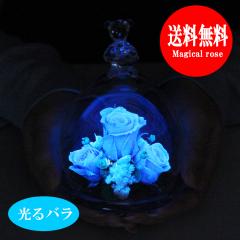 �v���U�[�u�h�t�����[ �l�t�̃N���[�o�[ �����z�� ����o�� �v���[���g �y�x�A�[�A�C�z �M�t�g �a���� �җ�j�� �����L�O�� �ސE�j ��