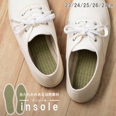 C\[ ~ LbY lTCY  u݂炢C\[v23cm/24cm/25cm/26cm/27cm { ̓  Y fB[X u[c 