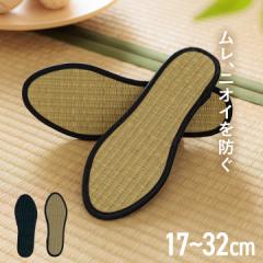 父の日 プレゼント インソール 中敷き リピーター続出 ムレ防止 ニオイ対策 17cm〜32cm 日本製 キッズ 大人サイズ 畳 侍インソール メン