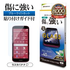 炭炭X}[gtHF-53E KXtB ʕی u[CgJbg   NA 0.33mm dx10H \tKCh 10H GE46