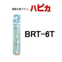 dtuV nsJփuV y BRT-6T 炩 z[ nsJ ւ duV ͂҂ nuV ] - `O -