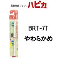 dtuV ǂnsJփuV y BRT-7T 炩 z[ nsJ ւ duV ͂҂ ] - `O -