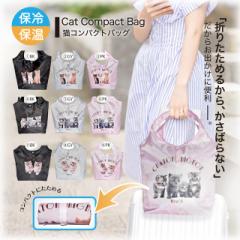 GRobO ۗ ۉ ܂肽 L Lbg ʐ^ ] y ֗ g[gobO VbsOobO W[   fB[