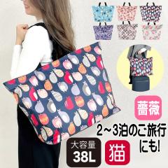 g[gobO L rbOobO 2WAY 傫 s΂ L ԕ s o L[I gx y KN