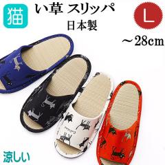 y݌Ɉ|Xg1_zXbp  ėp  傫 LTCY O Ȃ ʋC f q  E  [V[Y {