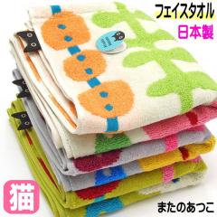 �t�F�C�X�^�I�� My cat�fs Diary ���L �}�^�m�A�c�R �܂��̂��� ��100�� 34�~75cm ��@�� ���{�� ���� ��ʂ��� �L�� �L�G�� �L�O�b�Y