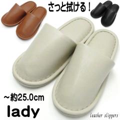 Xbp U[ rj[U[ Vv  fB[X J[ n MTCY ʔN qgC  [V[Y Mtg