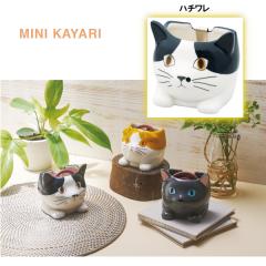 �~�j����� �n�`���� P24-0851 �Z�g�N���t�g SETOCRAFT ������� �z���_�[ ���� ������ ������� ���킢�� �v���[���g �M�t�g