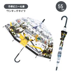 �q���r�j�[���P 55cm �|�P�b�g�����X�^�[ �N���X 32487 �W�F�C�Y�v�����j���O ���P �L�b�Y �|�P���� �j�̎q �J�� ���C���O�b�Y �v���[��