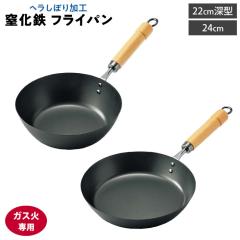 �y�� �����S �t���C�p�� �K�X�ΐ�p 24cm 22cm�[�^ �A�h�o���X�h�A �y �S�� �S�t���C�p�� �u�ߓ� �y�� �ւ�i�� ���{�� �z