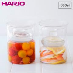 nI ЕOX X HARIO TGS-800-Ty Еe Ђ ۑe RpNg ϔMKX dqW H@Ή z