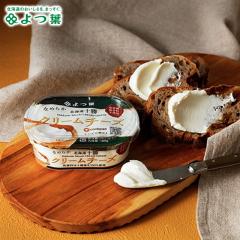 �k�C�� �`�[�Y �����i ��t �k�C���\�� �N���[���`�[�Y 100g / ��� ��t���� ���� �u�����h �o�^�[ �����i �~���N �P�i ������