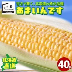 2026�N�\�� �k�C���Y�Ƃ����낱�� �������� ��y�����邢�_���l�b�g���[�N ���܂���ł�(40�{) / �k�C�� ��y�Y �Ƃ����낱�� �Ƃ����� 