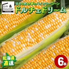 2026�N�\�� �k�C���Y �Ƃ����낱�� �������� �h���`�F�h���[�� 6�{���� / �k�C�� ���� �Ƃ����� �Ƃ����낱�� �g�E�����R�V �{ �Y�n���� 