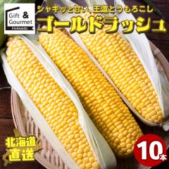 2026�N�\�� �k�C���Y �Ƃ����낱�� �������� �S�[���h���b�V���i10�{����j / �k�C�� �g�E�����R�V �Ƃ����� �V�N ���� �{ �C�G���[�R�[