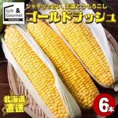 2026�N�\�� �k�C���Y �Ƃ����낱�� �������� �S�[���h���b�V���i6�{����j / �k�C�� �g�E�����R�V �Ƃ����� �V�N ���� �C�G���[�R�[�� �X