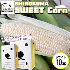 2026�N�\�� �Ƃ����낱�� �k�C�� �������� SHIROKUMA SWEET �k�C���Y �z���C�g�R�[�� 10�{ / �s���A�z���C�g �z���C�g�V���R�� �g�E����