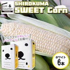 2026�N�\�� �Ƃ����낱�� �k�C�� �������� SHIROKUMA SWEET �k�C���Y �z���C�g�R�[�� 6�{ / �s���A�z���C�g �z���C�g�V���R�� �g�E�����R