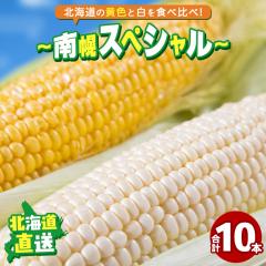 2026�N�\�� �k�C���Y�Ƃ����낱�� �������� ��y�X�y�V���� (10�{����) / �s���A�z���C�g ���܂���ł� �Ƃ����낱�� �g�E�����R�V �Ƃ�