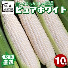 2026�N�\�� �k�C���Y�Ƃ����낱�� �������� �����Ƃ����낱�� �s���A�z���C�g(10�{) / �Ƃ����낱�� �g�E�����R�V �Ƃ����� �k�C�� �Y�n