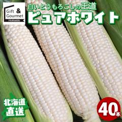 2026�N�\�� �k�C���Y�Ƃ����낱�� �������� �����Ƃ����낱�� �s���A�z���C�g(40�{) / ��y�Y �Y�n���� �Ƃ����낱�� �g�E�����R�V �Ƃ�