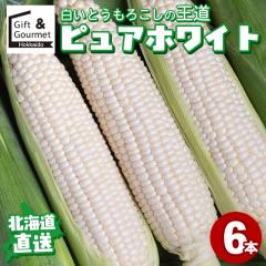 2026�N�\�� �k�C���Y�Ƃ����낱�� �������� �����Ƃ����낱�� �s���A�z���C�g(6�{) / �k�C�� ��y�Y �Ƃ����낱�� �Ƃ����� �g�E�����R�V