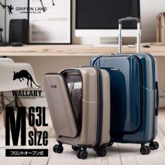 L[P[X L[obO X[cP[X MTCY tgI[v Y rWlX ^ OtBh griffin land fB[