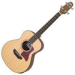 ARIA ABM-500 �~�j�G���A�R�x�[�X�q�A���A�r