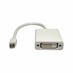 Applep Mini Displayport/Thunderbolt to DVI ϊA_v^