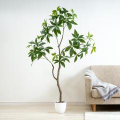�l�H�ϗt�A�� �p�L�� ���G�} �t�F�C�N�O���[�� ��^ 150cm �C���e���A�O���[�� �������s�v �I�t�B�X ���r���O ���L �R��