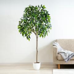 �l�H�ϗt�A�� �x���W���~�� ���G�} �t�F�C�N�O���[�� ��^ 150cm �C���e���A�O���[�� �������s�v �I�t�B�X ���r���O ���L �R�� �g�ݗ�