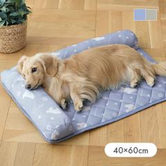 ̂ybgpbhu܁v 40~60cm ڐG⊴  L ybg