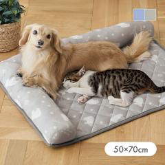 ̂ybgpbhu܁v50~70cm ڐG⊴  L ybg